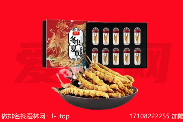 江门回收虫草.jpg